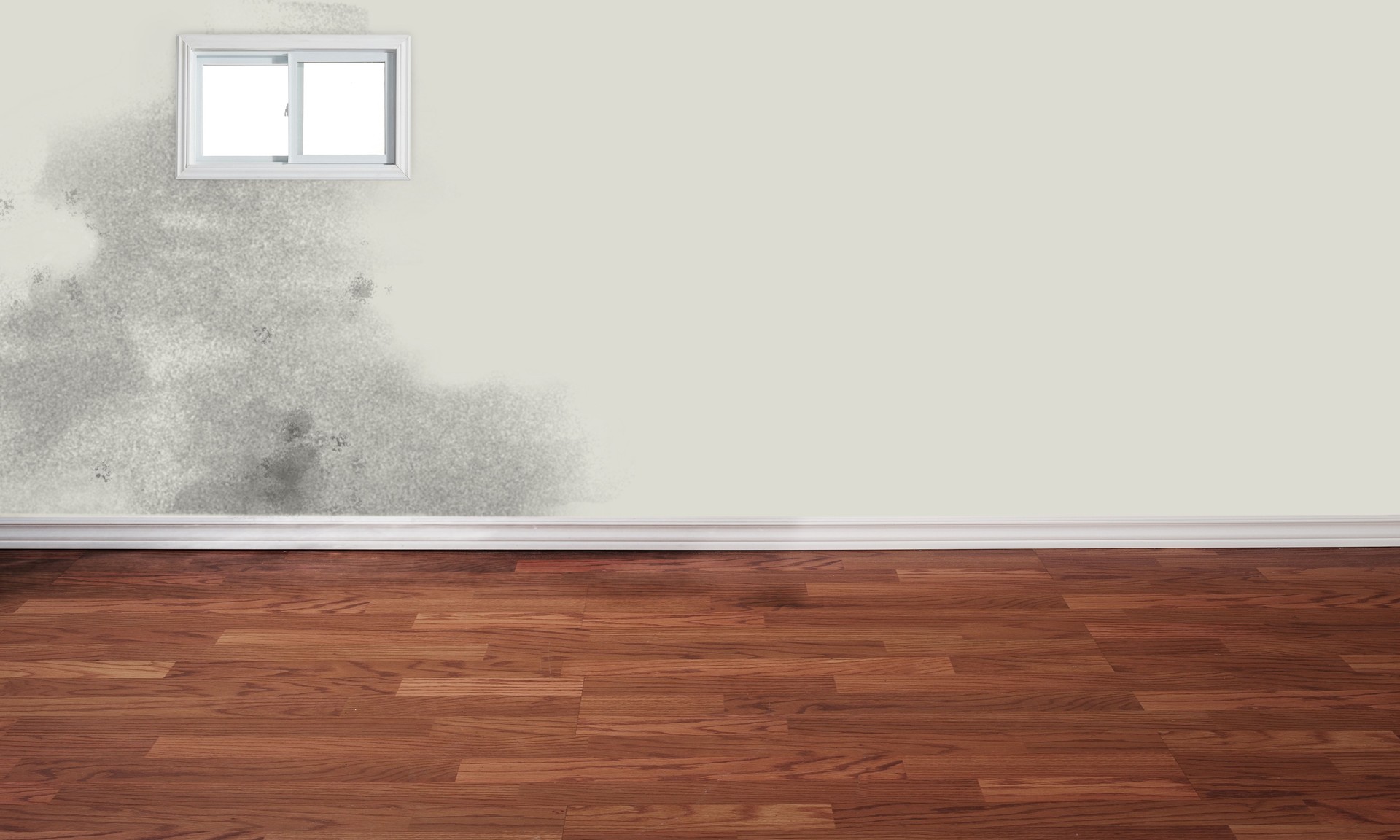 Basement room with water damage and black mold on the wall