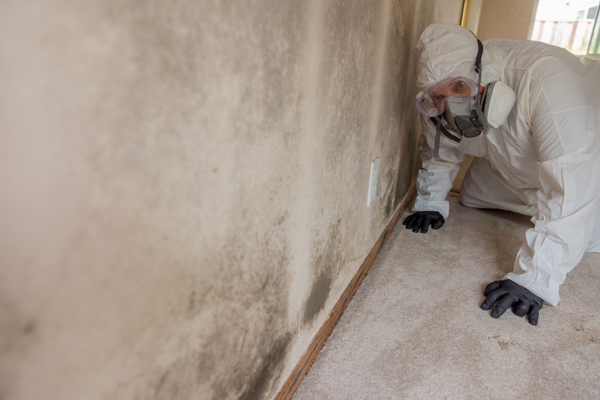 Home Mold Remediation
